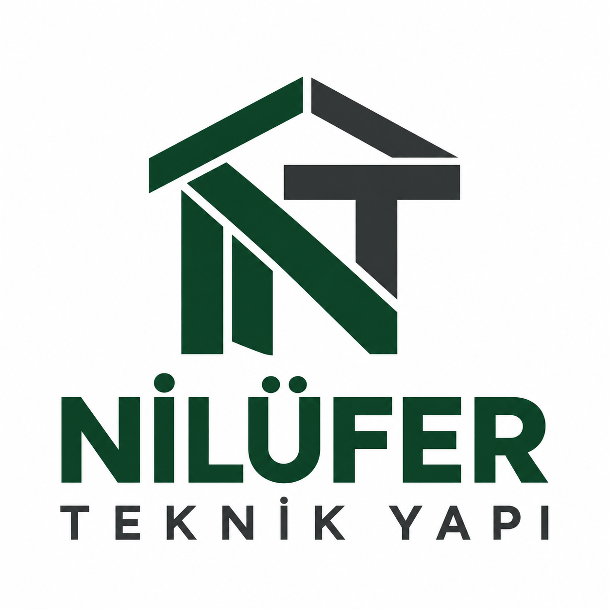 Nilüfer Teknik Yapı logosu